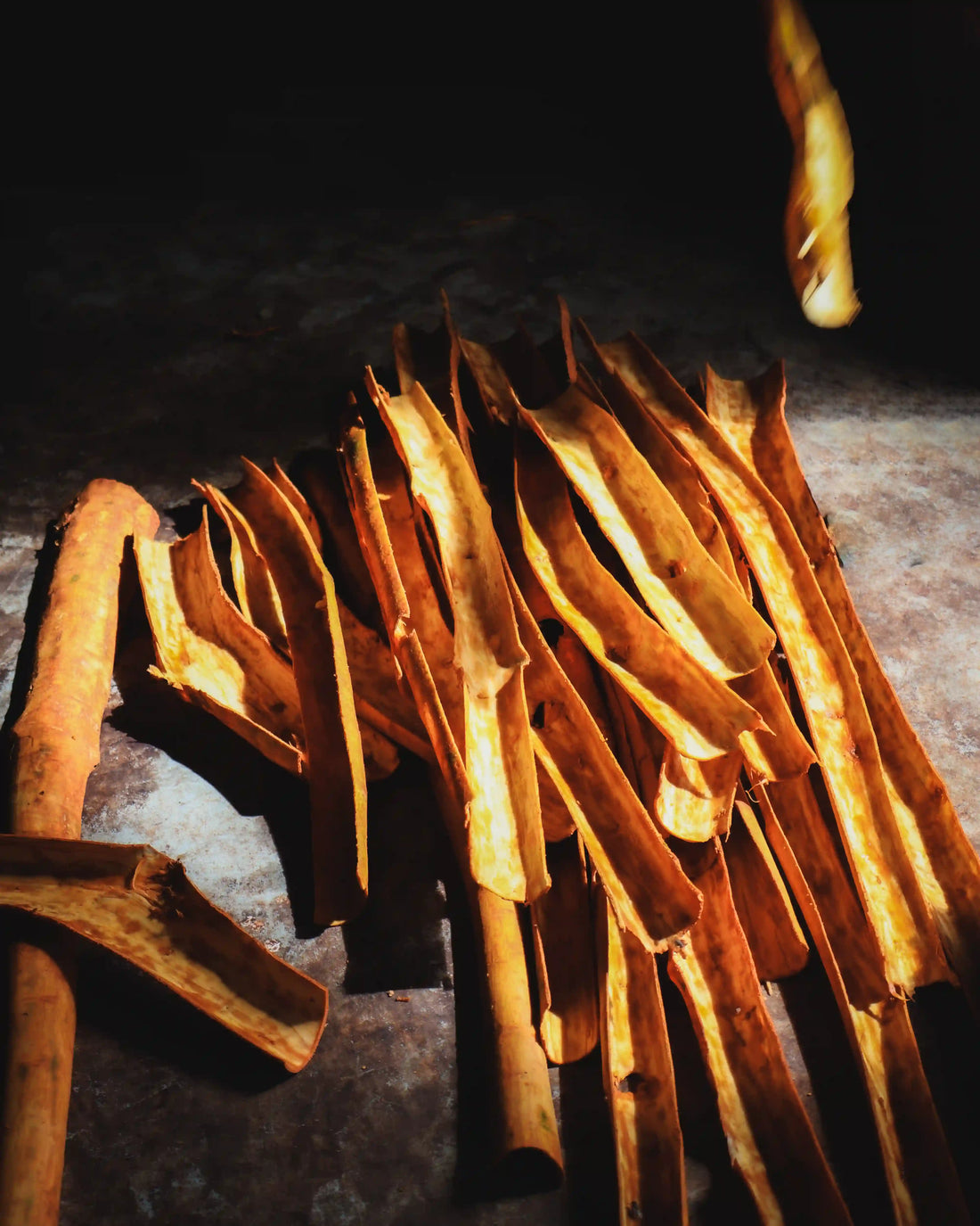 What Is Ceylon Cinnamon and Why the World Calls It “True Cinnamon”