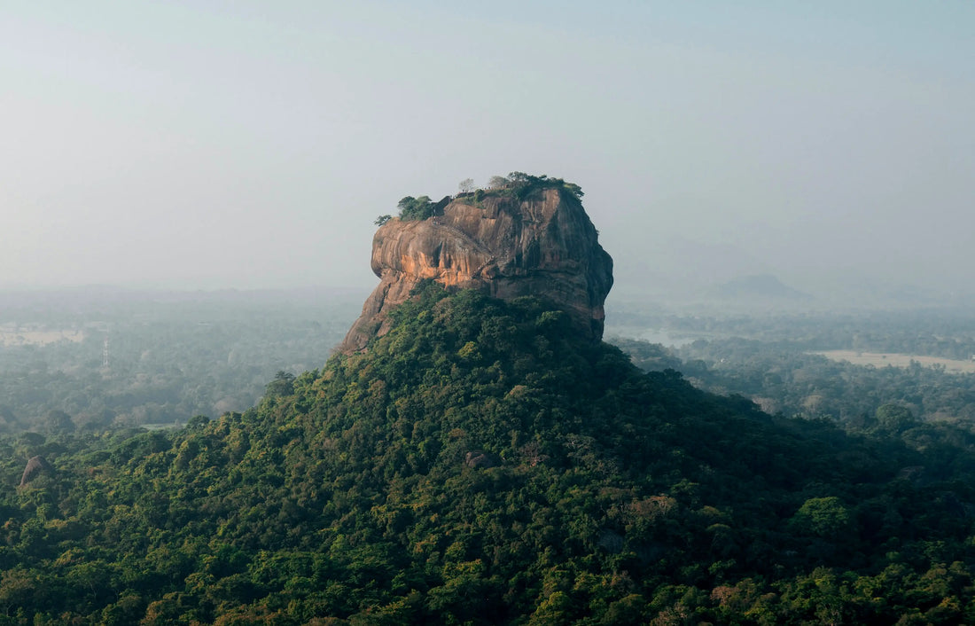 Why Sri Lanka Produces the World’s Best Cinnamon