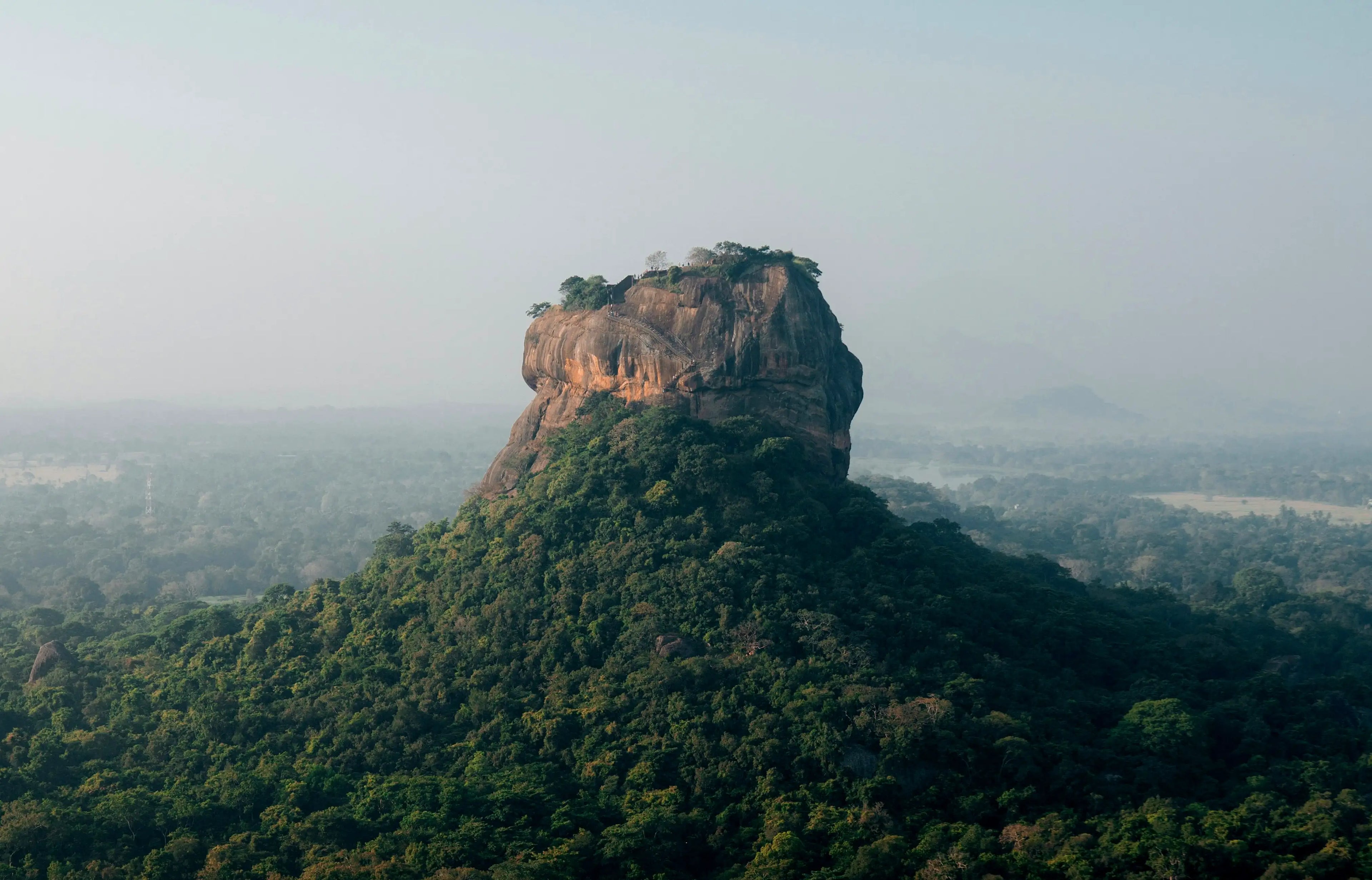 Why Sri Lanka Produces the World’s Best Cinnamon