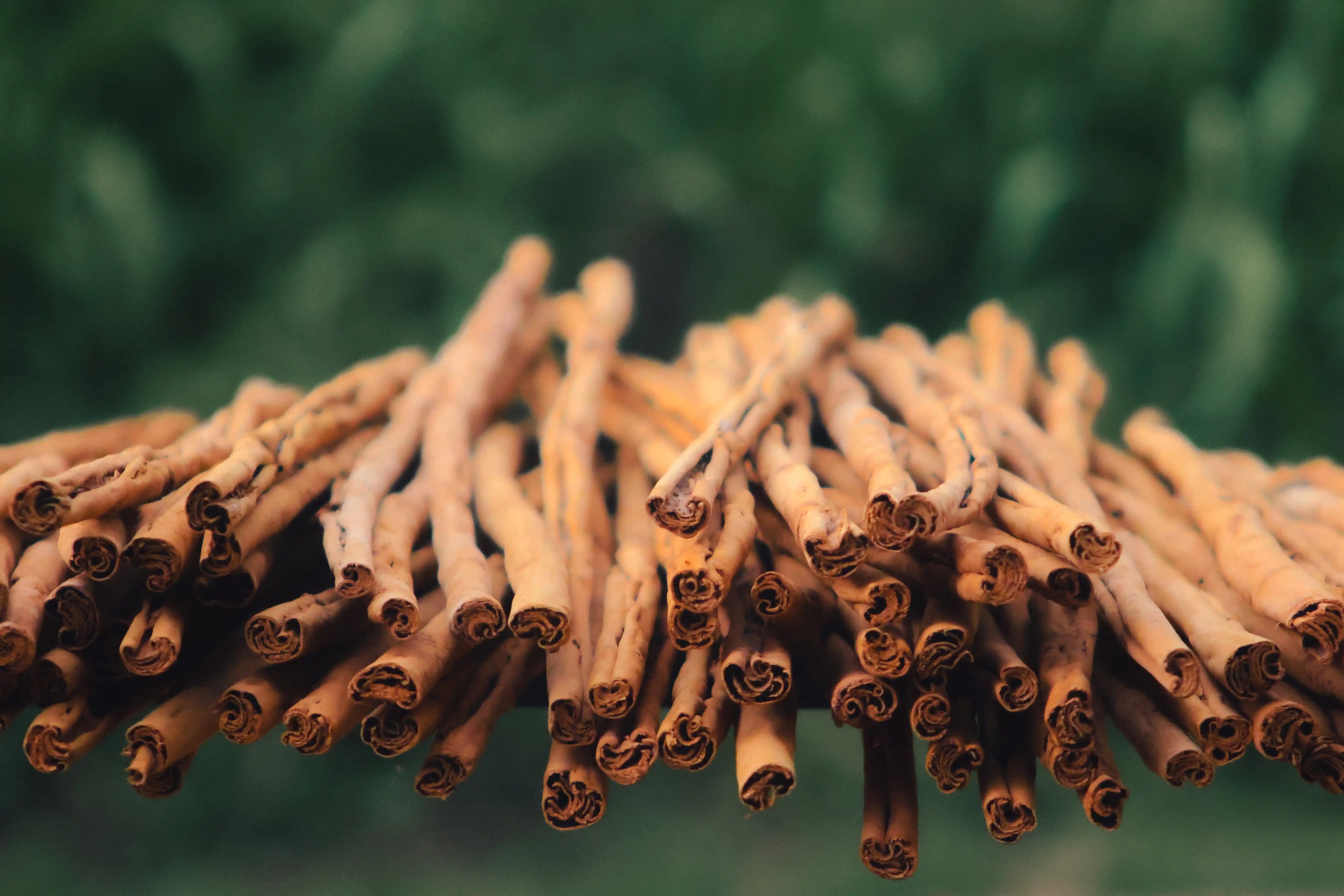 real ceylon cinnamon quills